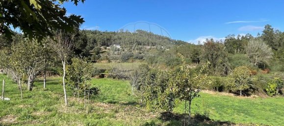 5 bedrooms House in Barcelos, Portugal No. 180818 32