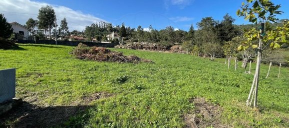 5 bedrooms House in Barcelos, Portugal No. 180818 6