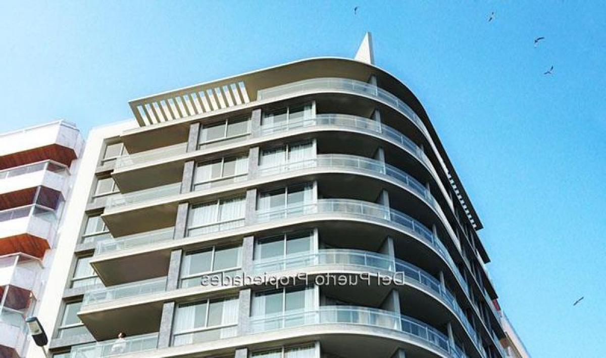 Studio in Montevideo, Uruguay No. 5534