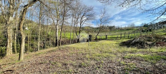 5 rooms House in Canelli, Italy No. 132466 33