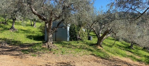 Casa de 4 divisões em Roccastrada, Italy N.º 50667 7