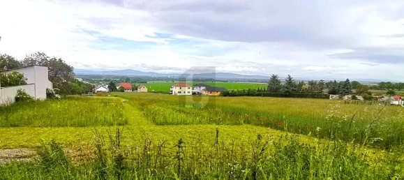 Grundstück in Hornstein, Austria, Nr. 250020 2