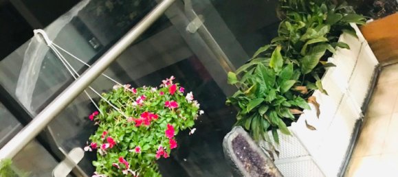 3 bedrooms Apartment in District 4, Vietnam No. 17340 12