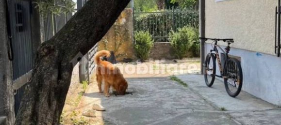 3 Schlafzimmer Villa in Gorla Minore, Italy, Nr. 342013 23