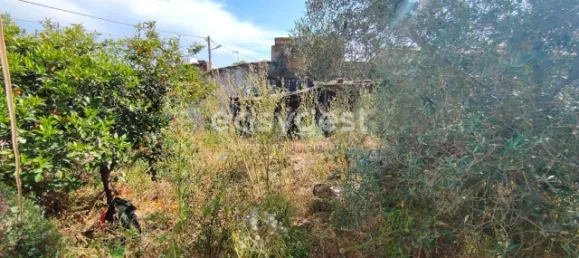 4 غرف نوم منزل في Vidigueira, Portugal رقم 62672 12