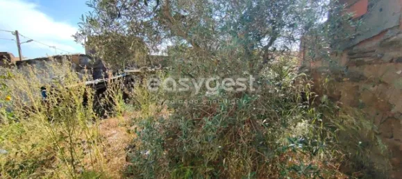 4 غرف نوم منزل في Vidigueira, Portugal رقم 62672 17