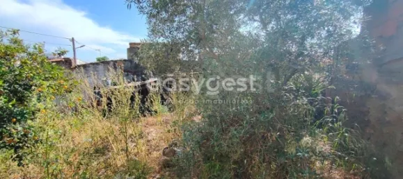 4 غرف نوم منزل في Vidigueira, Portugal رقم 62672 11