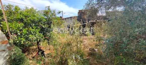 4 غرف نوم منزل في Vidigueira, Portugal رقم 62672 16