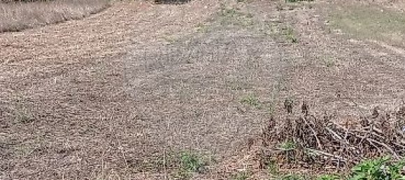 2 Schlafzimmer Haus in Ansiao, Portugal, Nr. 21942 7