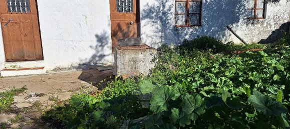 2 غرف نوم منزل في Rosmaninhal, Portugal رقم 31500 7