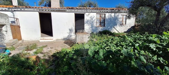 2 غرف نوم منزل في Rosmaninhal, Portugal رقم 31500 6