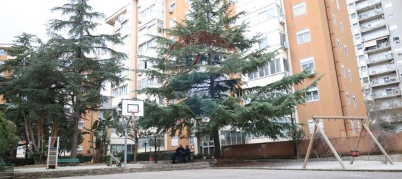 3 chambres Appartement à Palermo, Italy No. 144164 11