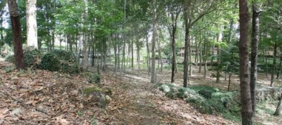 2 غرف نوم منزل في Cavez, Portugal رقم 190099 33