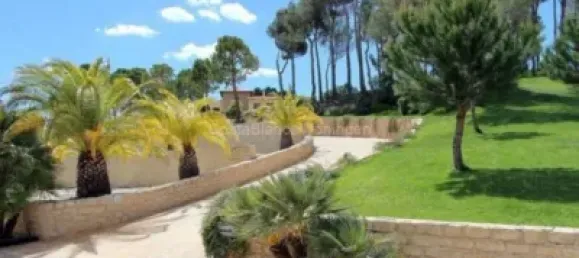 6 bedrooms House in Alicante, Spain No. 176968 5