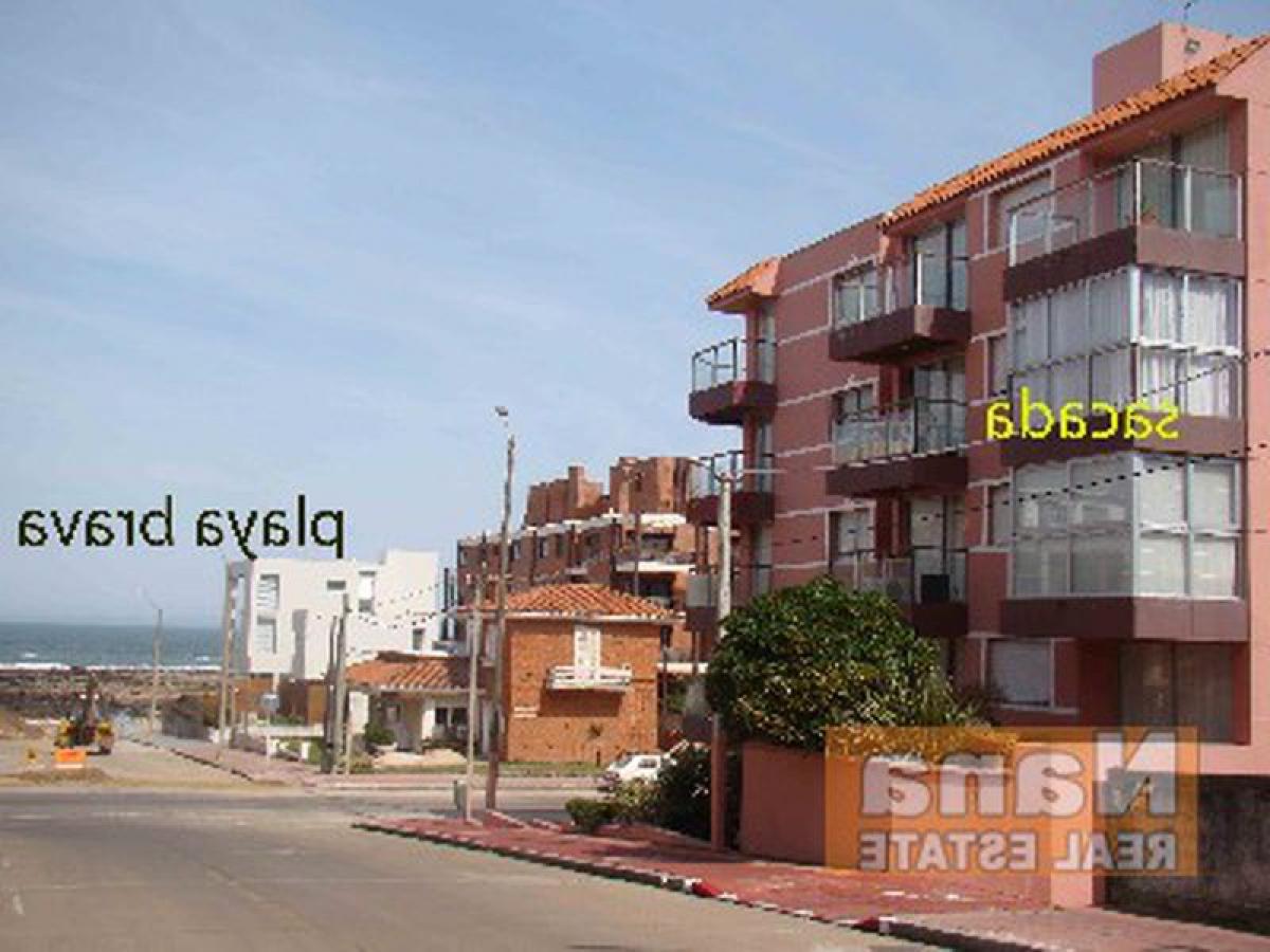 Studio in Maldonado, Uruguay, Nr. 9988