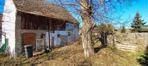 3غرفة منزل في Brandenburg, Germany رقم 90921 6