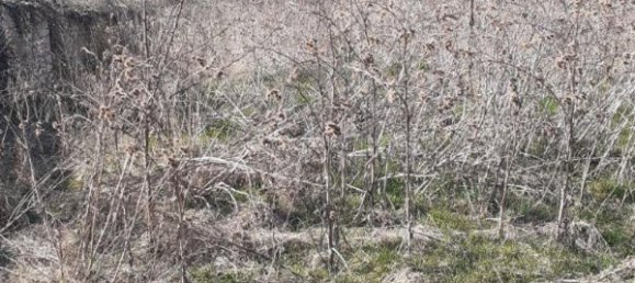 Terrain à Xirocourt, France 1020m² No. 91324 5