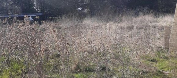 Terrain à Xirocourt, France 1020m² No. 91324 3