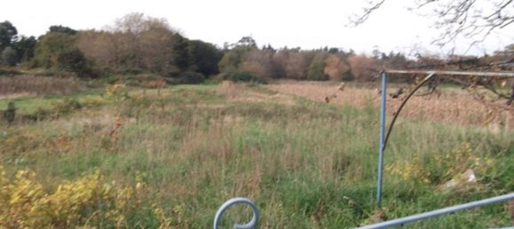  Land in Caminha, Portugal No. 65527 4