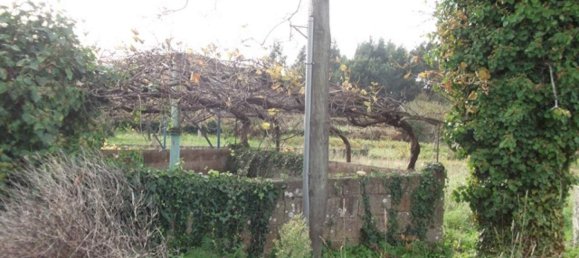  Land in Caminha, Portugal No. 65527 7