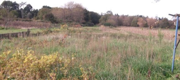  Land in Caminha, Portugal No. 65527 3