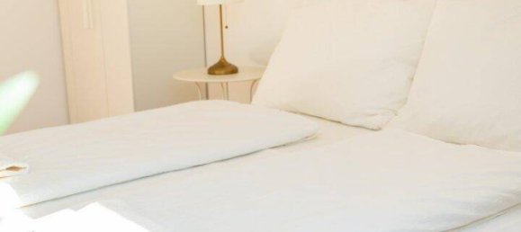 6 rooms Penthouse in Leopoldstadt, Austria No. 38506 11