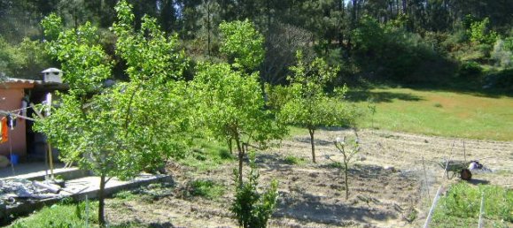 2 bedrooms House in Marco de Canaveses, Portugal No. 79453 6