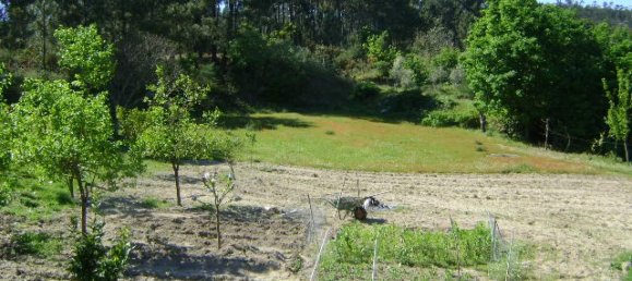 2 bedrooms House in Marco de Canaveses, Portugal No. 79453 5