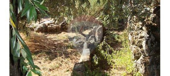 1 bedroom House in Oledo, Portugal No. 32016 20