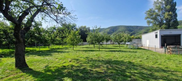 2 rooms House in Mautern an der Donau, Austria No. 217273 7