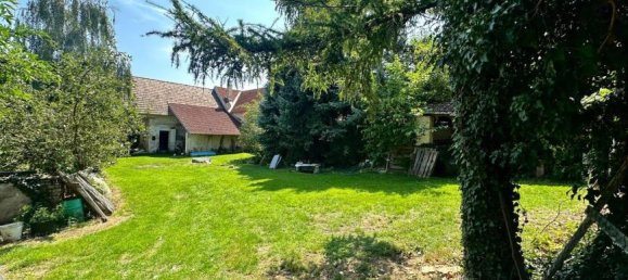 3 rooms House in Drasenhofen, Austria No. 250010 5