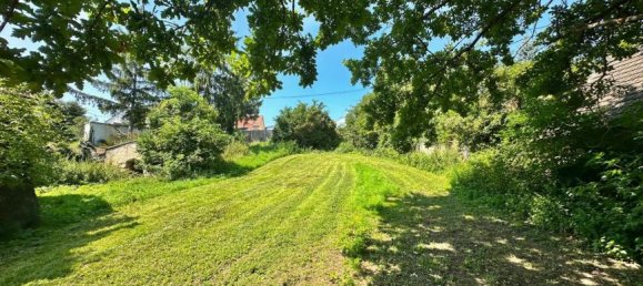 3 rooms House in Drasenhofen, Austria No. 250010 4