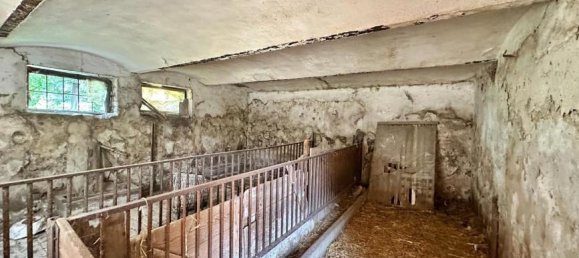 3 rooms House in Drasenhofen, Austria No. 250010 10