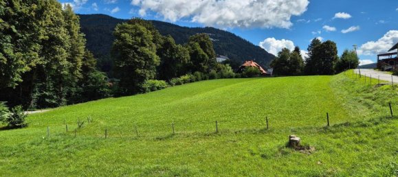  Land in Murau, Austria No. 256836 4