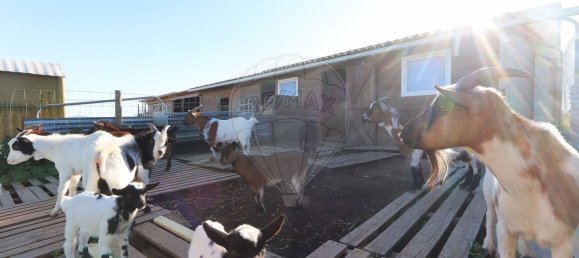 7 Schlafzimmer Haus in Torres Vedras, Portugal, Nr. 184956 46