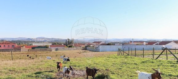 7 Schlafzimmer Haus in Torres Vedras, Portugal, Nr. 184956 45