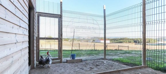 7 Schlafzimmer Haus in Torres Vedras, Portugal, Nr. 184956 49