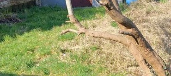 3غرفة منزل في Berck, France رقم 260114 8