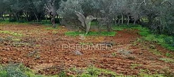 3240m² Land in Quelfes, Portugal No. 36005 3