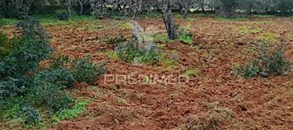 3240m² Land in Quelfes, Portugal No. 36005 5
