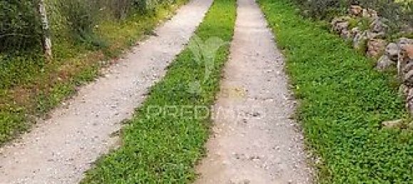 3240m² Land in Quelfes, Portugal No. 36005 2