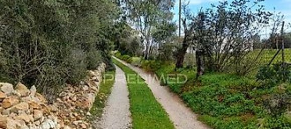 3240m² Land in Quelfes, Portugal No. 36005 4