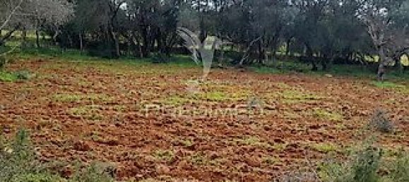 3240m² Land in Quelfes, Portugal No. 36005 6