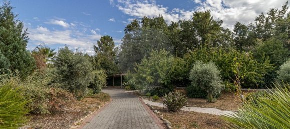 4 bedrooms House in Covilha, Portugal No. 179111 13