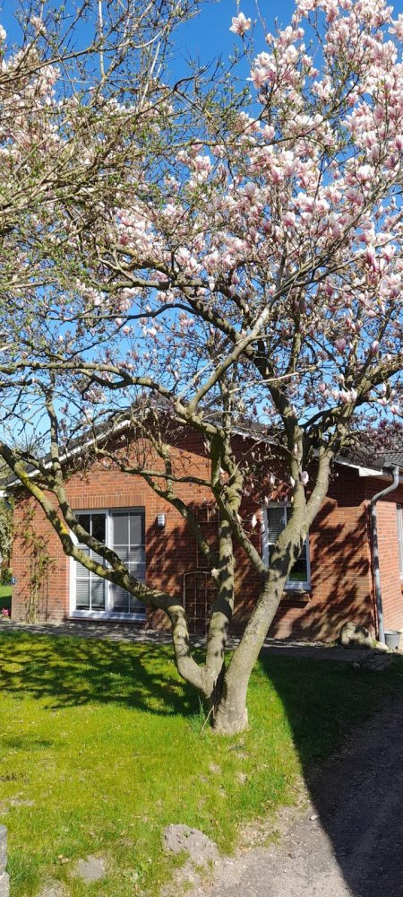 3 Schlafzimmer Haus in Rendsburg-Eckernförde, Germany, Nr. 370197