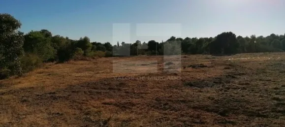  قطعة أرض في Vila Nova de Cacela, Portugal رقم 33643 4