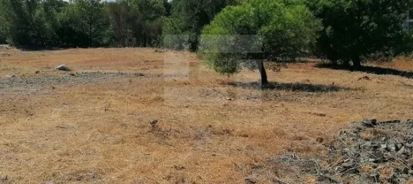  قطعة أرض في Vila Nova de Cacela, Portugal رقم 33643 5