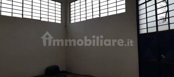 3 rooms Warehouse in Altopascio, Italy No. 334623 4