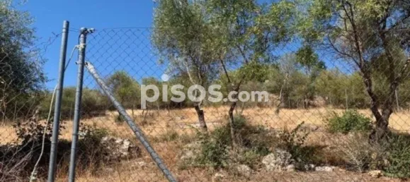 Grundstück in Cordoba, Spain 1500m², Nr. 142944 2