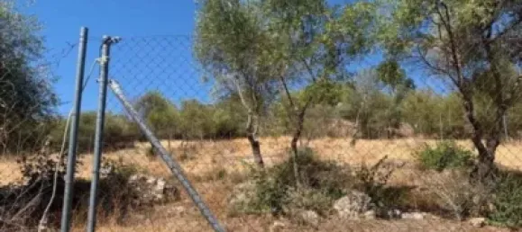 Grundstück in Cordoba, Spain 1500m², Nr. 142944 4